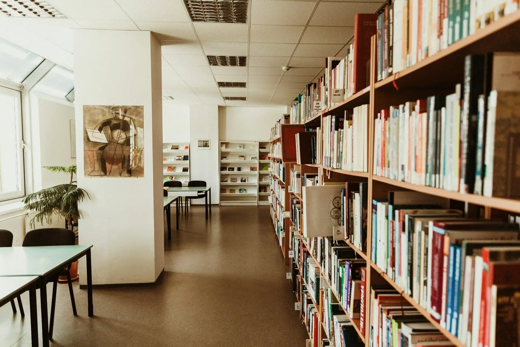 Рафтове с книги в тиха, огряна от слънце читалня.